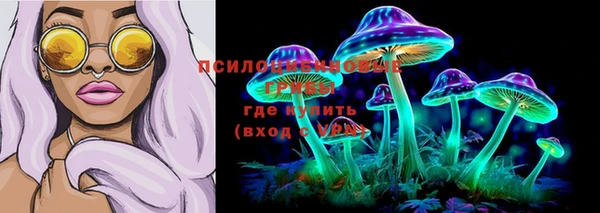 мет Арсеньев